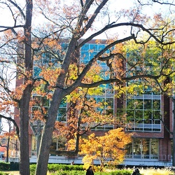 Campus-fall-color